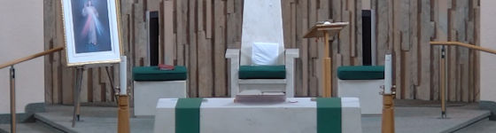 picture of St. Patrick sanctuary